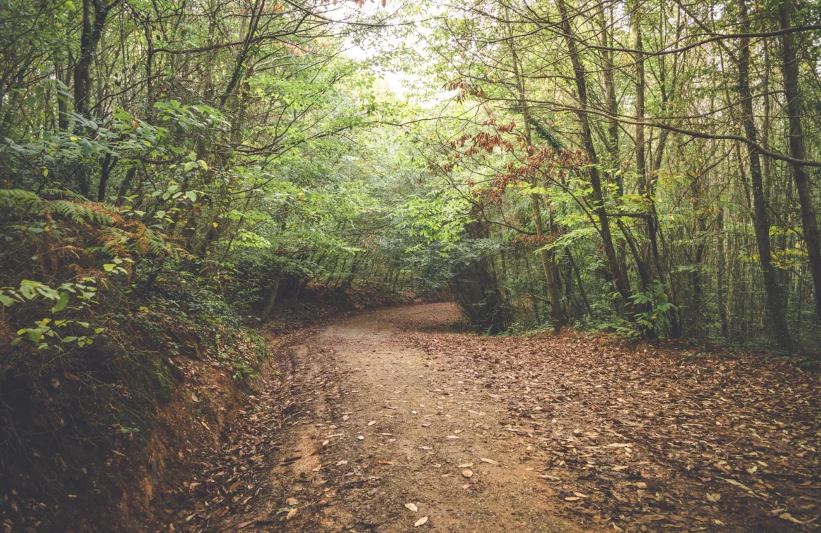 Peaceful nature in the fall season